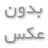 گربه اشرافی